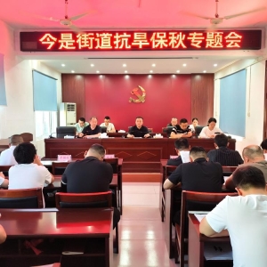 驻马店市新蔡县今是街道：服务架起“连心桥”抗旱浇出干群情