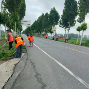 驻马店市正阳县公路事业发展中心：守护道路安全绘就公路“绿美”画卷