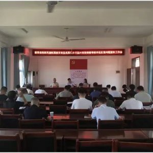 驻马店市新蔡县残联召开脱贫攻坚与乡村振兴问题整改会
