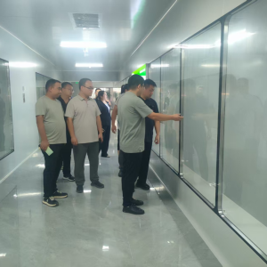 驻马店市正阳县油坊店乡：人大代表赴正鲜食品（河南）有限公司调研