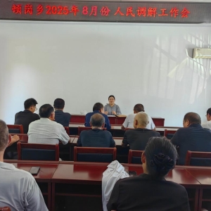 马店市新蔡县顿岗司法所召开8月份人民调解工作例会