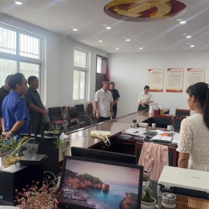 驻马店市正阳县铜钟镇人大代表强化监督职能助力基层治理效能提升