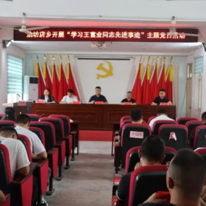 正阳县油坊店乡开展“学习王富业同志先进事迹”主题党日活动
