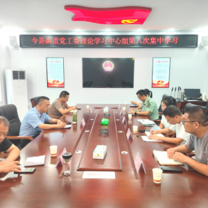 新蔡县今是街道党工委举行2025年理论学习中心组第八次集中学习