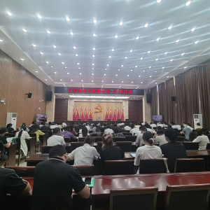 驻马店市正阳县举办党建引领基层高效能治理工作培训班