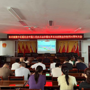 驻马店市新蔡县孙召镇组织收看纪念中国人民抗日战争暨世界反法西斯战争胜利80周年大会