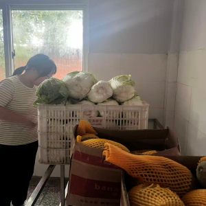 孟州槐树乡：守护师生“舌尖上的安全”