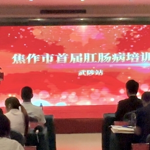 焦作市首届肛肠病技术培训会在武陟瀚海国际大酒店顺利召开