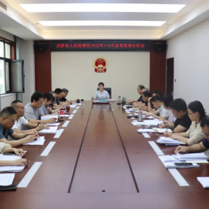 聚力攻坚 提质增效 武陟县检察院召开1-8月业务质效分析会