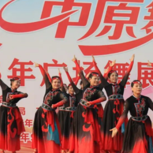 驻马店市正阳县2025年广场舞展演活动举行