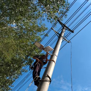 驻马店市新蔡县棠村镇：乡贤助力村庄照明升级 点亮乡村振兴路