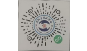 驻马店市正阳县举行零工市场启动仪式