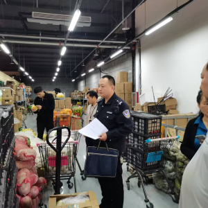 驻马店市新蔡县棠村镇：“四查联动”全覆盖，筑牢双节“防护盾”