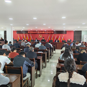 驻马店市新蔡县棠村镇召开2025年城乡居民医保征缴工作动员会