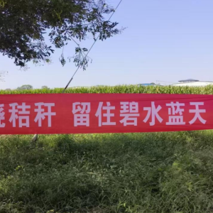 孟州城伯镇多举措筑牢秋收秸秆禁烧“防火墙”