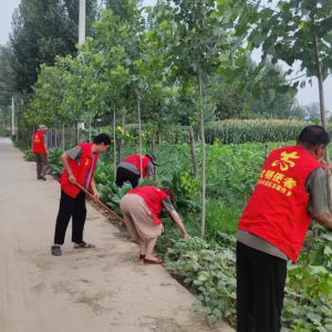 焦作高新区苏家作：党建引领“美”环境 网格聚力“净”家园