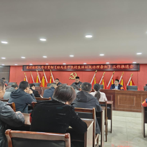 驻马店市新蔡县棠村镇 擘画乡村生态宜居新图景