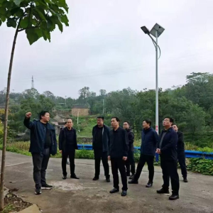 焦作市自然资源和规划局领导调研沁阳市地质灾害防治工作