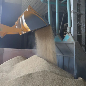 驻马店市正阳县：稻谷烘干 快马加鞭