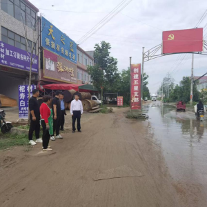 驻马店市新蔡县棠村镇：解决积水问题 办好民生实事