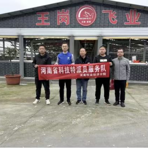 河南牧业经济学院赴驻马店市新蔡县孙召镇开展乡村景观设计调研活动