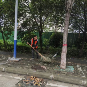 驻马店市正阳县城管局：全力“焕新”城市容颜