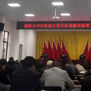 孟州槐树乡：多措并举促宣传 医保政策暖人心