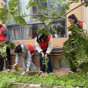 温县检察：红领巾走进检察院 法治种子播心田