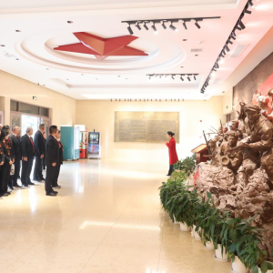 驻马店市新蔡县人民法院赴鄂豫皖苏区首府革命博物馆开展主题党日活动