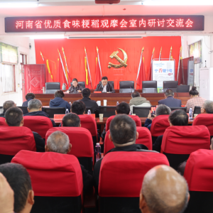 河南省优质食味粳稻观摩会在正阳县举行