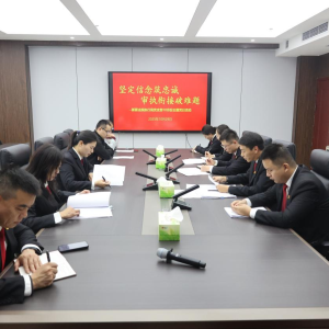 驻马店市新蔡县人民法院执行局党支部开展十月主题党日活动