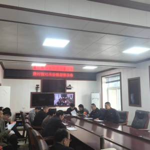 驻马店市新蔡县棠村镇召开10月份乡镇规划委员会