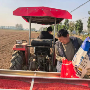 驻马店市新蔡县栎城镇：抢抓晴好窗口期 全力护航秋种工作