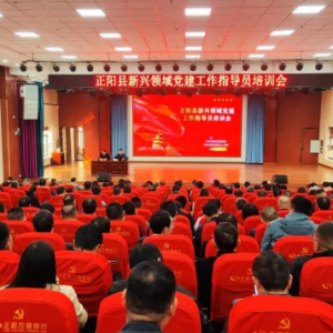 驻马店市正阳县举办新兴领域党建工作指导员培训会