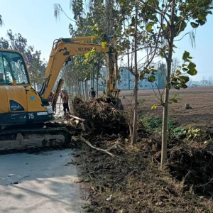 驻马店市新蔡县杨庄户乡：扎实推进秸秆清运 助力美丽乡村建设