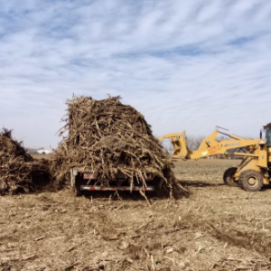 驻马店市新蔡县栎城镇：秸秆清运助秋耕 筑牢大气“防护墙”