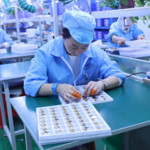 驻马店市正阳县项目为王锻造高质量发展新引擎