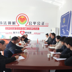 新蔡县人民法院政治部党支部与弥陀寺乡程小寨村党支部开展支部共建活动