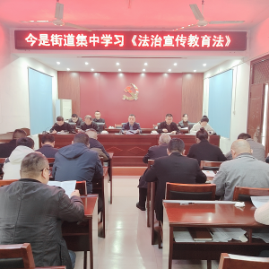 驻马店市新蔡县今是司法所开展“送法进机关”法治宣传教育活动