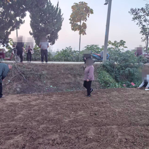 驻马店市佛阁寺司法所：成功土地纠纷 贴心化解促和谐