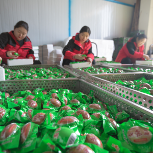 驻马店市正阳县芸香食品：传统鸭蛋“孵”出现代产业链