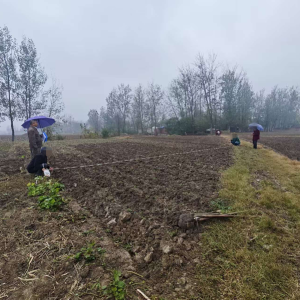 驻马店市新蔡县化庄司法所：耕地纠纷起隔阂 换地调解续乡情
