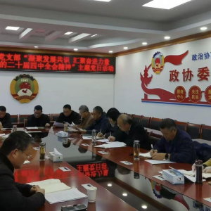 驻马店市正阳县政协机关党支部开展深入学习贯彻党的二十届四中全会精神主题党日活动