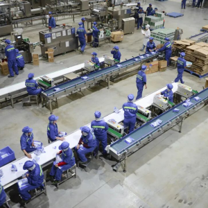 驻马店市正阳县经济跑出高质量发展“加速度”