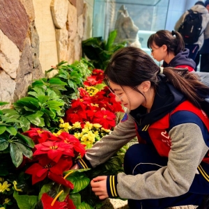 郑州市第九十六中学学子走进河南省自然博物馆：在服务中感悟自然，在奉献中收获成长