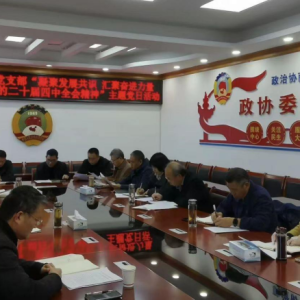 驻马店市正阳县政协机关党支部开展深入学习贯彻党的二十届四中全会精神主题党日活动