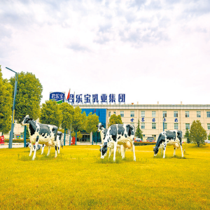 驻马店市正阳县：产业千帆竞 淮汝潮头势如虹