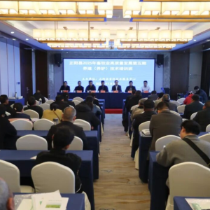驻马店市正阳县2025年畜牧业高质量发展第五期养殖（养驴）技术培训会召开