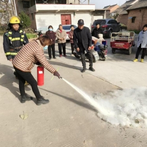 孟州槐树：三措并举筑屏障 平安过冬护民生