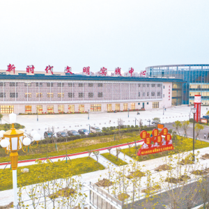 驻马店市正阳县：“党建+”绘出基层善治“锦绣图”